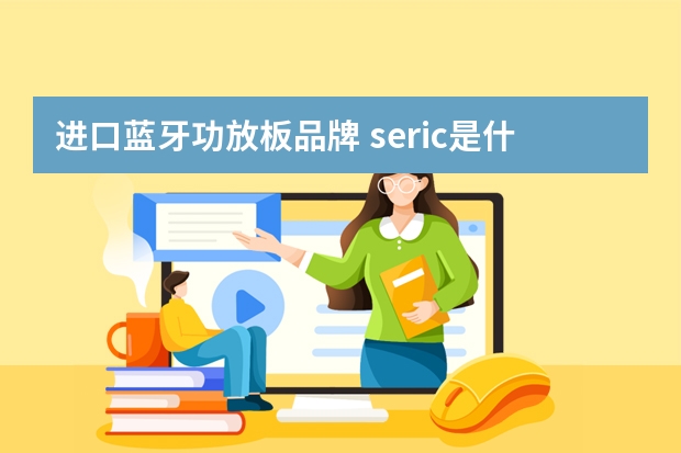 进口蓝牙功放板品牌 seric是什么牌子的功放