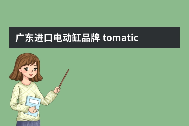 广东进口电动缸品牌 tomatic啥牌子