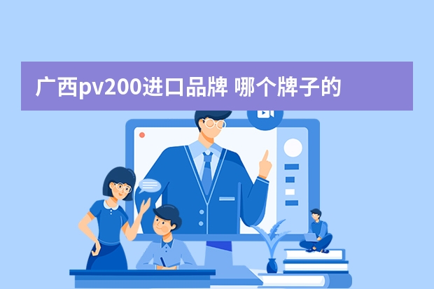 广西pv200进口品牌 哪个牌子的艺术涂料好