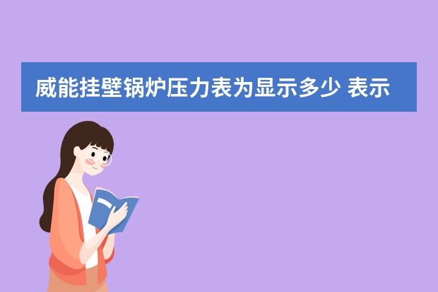 威能挂壁锅炉压力表为显示多少 表示管道渗水