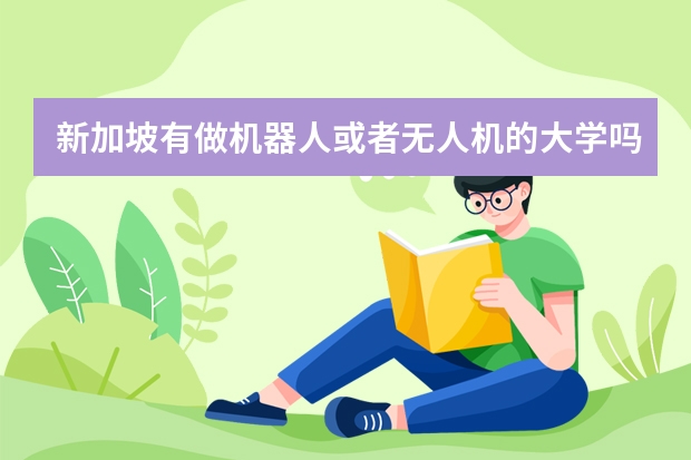 新加坡有做机器人或者无人机的大学吗